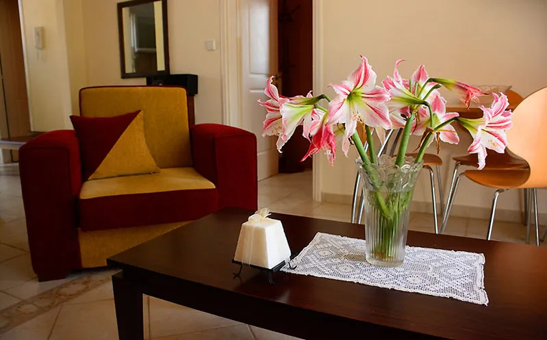 Anamartitos Apartments — 9