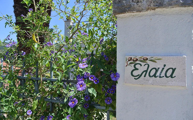 Elea apartments — 28