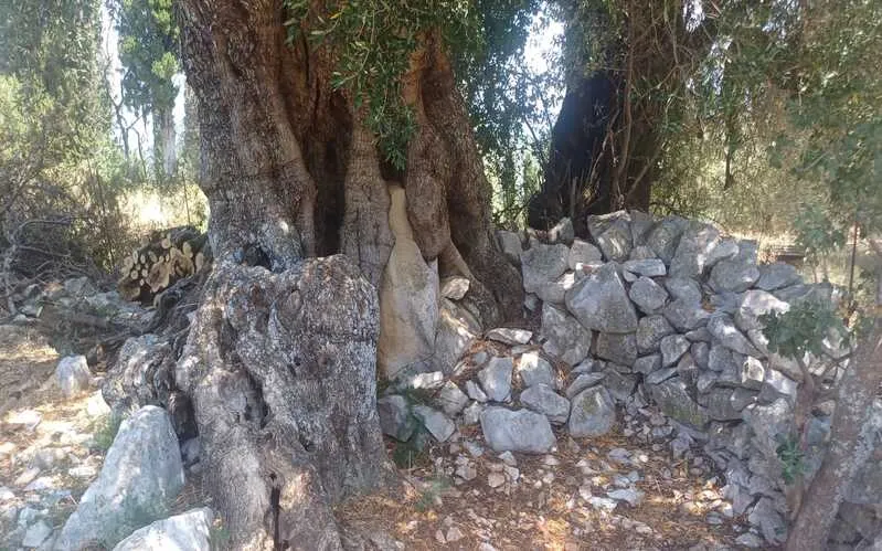 Maison Delmanda — 21