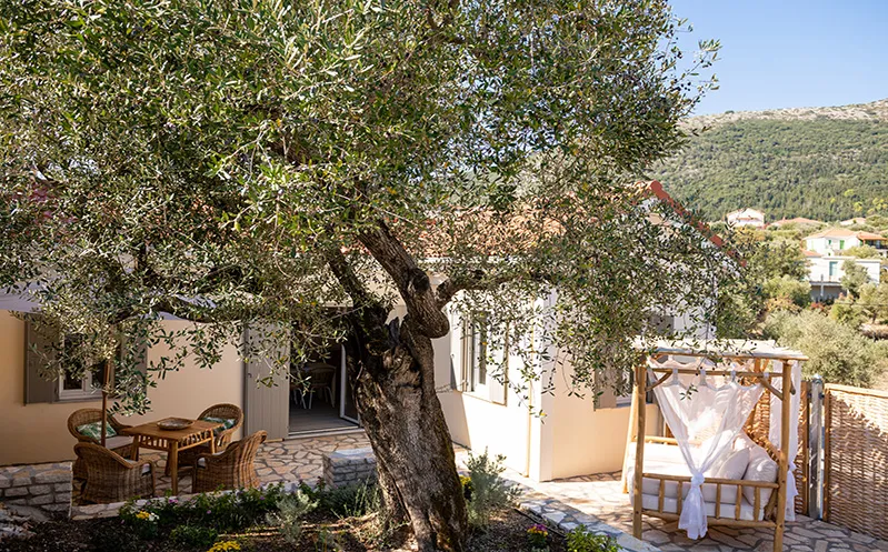 Olivea Premium Holiday Homes — 16